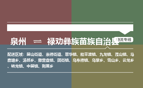 泉州至禄劝彝族苗族自治县物流专线 泉州至禄劝彝族苗族自治县物流公司